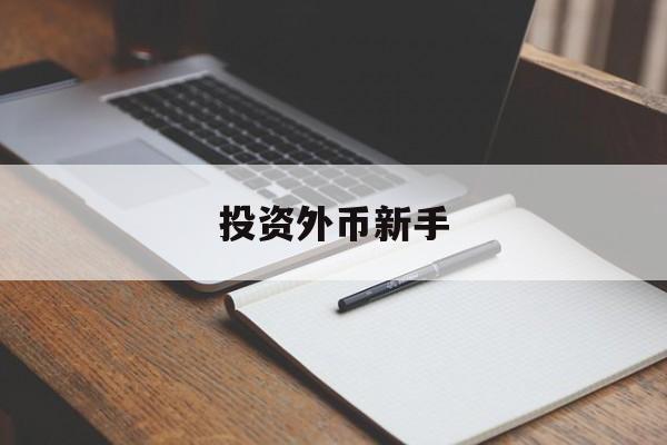 投资外币新手(投资外币是什么意思)