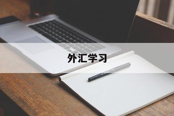 外汇学习(外汇教学指南 入门)