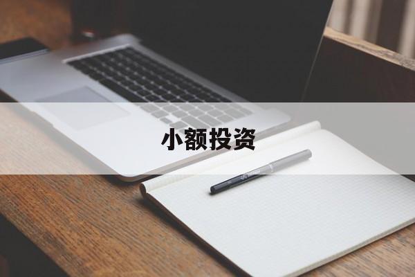 小额投资(小额投资基金信托公司)